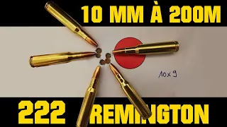 222 Remington : un calibre optimal ?