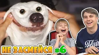 НЕ ЗАСМЕЙСЯ ЧЕЛЛЕНДЖ! МАМИНА ПОДБОРКА #6! Смотрим смешные видео!