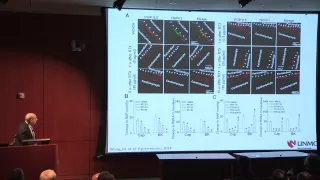 The Cardiac Sympathetic Afferent Reflex in Heart Failure