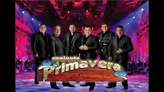 Conjunto Primavera-Puros Exitos de Oro( Norteñas )#musicamexicana #músicanorteña @musicamexicana501