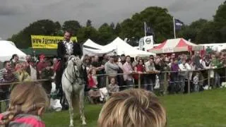 jonathan marshall horseback falconry