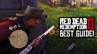 RDR2 - Top 9 Tips You Need To Know About CORES and BARS To Make You A Better Player in Red Dead 2!