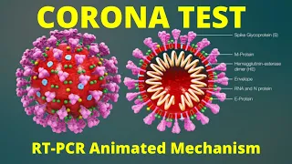Updated Coronavirus real time RT PCR Test Simplified Mechanism