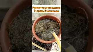 дешёвое и эффективное удобрение