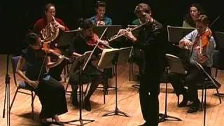 Concerto for Flute in G Major, K. 313, II. Adagio ma non troppo by W.A. Mozart