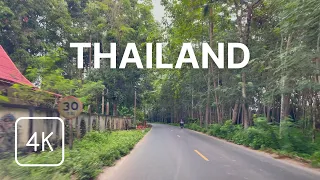 Drive Through Scenic Roads Near the National Park - Surat Thani 🇹🇭