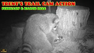 Trent's Trail Cam Action - March & April 2024