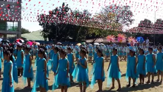 Grade 4 Field Demo