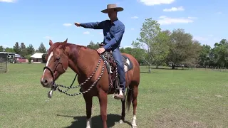 Keep Your Horse’s Attention While On The Trail With These Simple Exercises