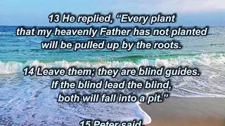 Leave them; they are blind guides. If the blind lead the blind, both will fall into a pit