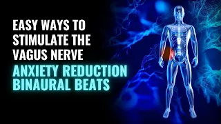 Vagal Tone | Stimulate the Vagus Nerve | Parasympathetic Nervous System music | 432hz Heart Repair