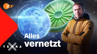 Warum nichts ohne das andere existiert | Dirk Steffens | Ganze Folge Terra X