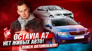 ПОИСК Skoda Octavia A7 / за СКОЛЬКО и в каком Состоянии?!