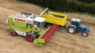 4Kᵁᴴᴰ Harvest 2023: Class Dominator 116 CS harvesting wheat in Suffolk - Part 2 of 2!!