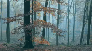 Bliskie relacje w życiu mężczyzny - wykład Jacka Masłowskiego.