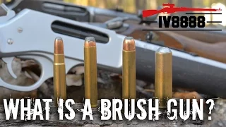 What is a Brush Gun?
