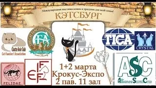 Выставка кошек Кэтсбург 2014