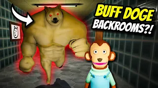 We Lose Our Minds as Buff Doge Chases Us Through the Backrooms | Backrooms Buff Doge Horror