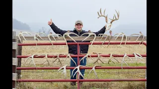MASSIVE ANTLERS | BEST OF 2020-2023 Shed Hunting