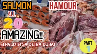 Amazing! Best Seller Salmon/Hamour - the most expensive fish in the world,  20 only