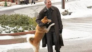 REENCUENTROS ENTRE PERROS Y HUMANOS QUE TE ALEGRARAN MUCHO EL CORAZON ❤️