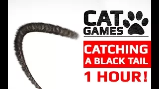 CAT GAMES - 😺 CATCHING A BLACK TAIL 1 HOUR VERSION (Entertainment Video for Cats to Watch)