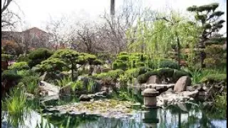 Himeji Japanese Garden Walking Tour, Adelaide, South Australia