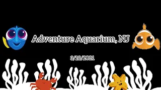 🦈🦀🐠Adventure Aquarium Camden, NJ | Shark Tunnel | 수족관 |아쿠아리움