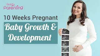 10 Weeks Pregnant : Baby Size and Growth