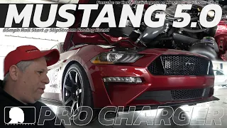 Insane Mustang vs Supercars: Epic Showdown!