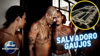 SALVADORAS | KAS SUSTABDYS GAUJAS? Pavojingiausia vieta žemėje!