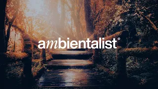 The Ambientalist - Ethernal Dream (2021 Extended Mix)