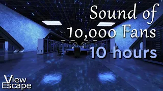 Fan Noise | Fan Sounds with Deep Bass for Sleep | Server Room Ambience | 1000's of fans | 10 HRS