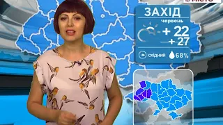 погода на 07 06