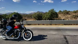 Harley Davidson Sportster 1200 top speed