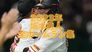 巨人🐰坂本勇人 2023年全ホームラン