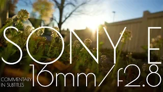 Sony E 16mm f2.8 pancake lens review in video and photo samples. TINY!