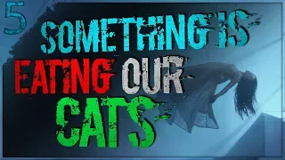 "Something is Eating Our Cats" | 5 TRUE Horror Stories