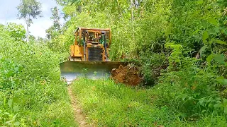 Road Service and Road Widening Caterpillar Bulldozer D6R XL working in the Forest