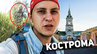 Кострома на болоте | Хоббит отшельник в настоящее время