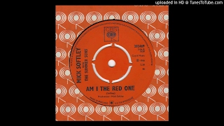 Mick Softley With The Summer Suns - Am I The Red One