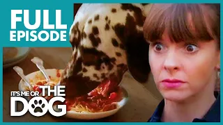 Food Thief Dalmatian: Pongo | Full Episode | It's Me or The Dog