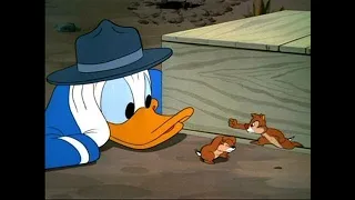 Early to Bed | A #Donald Duck Cartoon | Have a Laugh! lian kids#