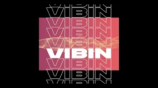 Deniz Bul - VIBIN