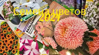 Купила семена цветов на новый сезон 2024 / Пока недорого / Много интересного #обзор #семена #цветы