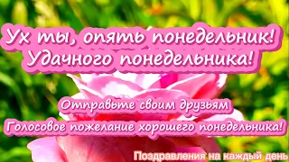 Ух ты, опять понедельник! Удачного понедельника! Голосовое пожелание хорошего понедельника!