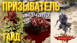 Divinity original sin 2: Definitive edition. Класс Призыватель. Первый акт игры. Как играть, гайд.