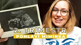 2. TRIMESTR | Nicole | Pohyby miminka a co čekáme za pohlaví?