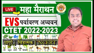 CTET Dec 2022 NCERT EVS 🔴महा मैराथन | पशुएँ  | जंतु | पर्यावरण अध्ययन | EVS संपूर्ण NCERT का निचोड़