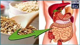 Что будет с вашим телом, если есть овсянку каждый день. Польза овсянки для организма